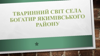 Тваринний світ села Богатир Якимівського району