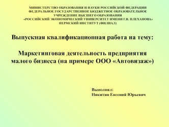 Маркетинговая деятельность предприятия малого бизнеса (на примере ООО Автовизаж)