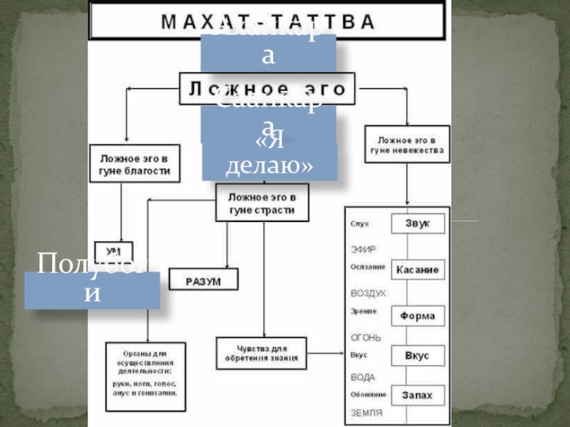 Ложное эго. Аханкара ложное эго. Гуны материальной природы. Читта, аханкара. Эмоции ложное эго.