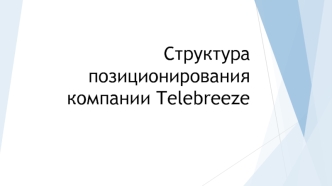 Структура позиционирования компании Telebreeze