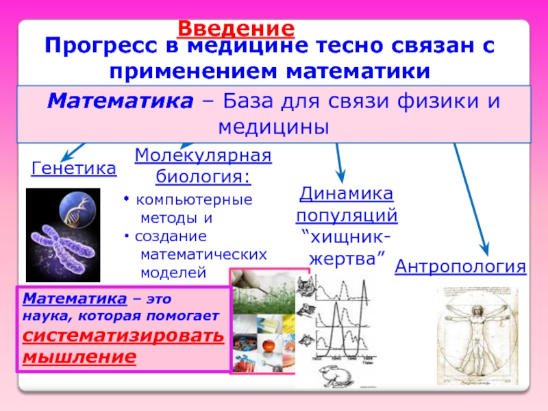 Математика и медицина презентация