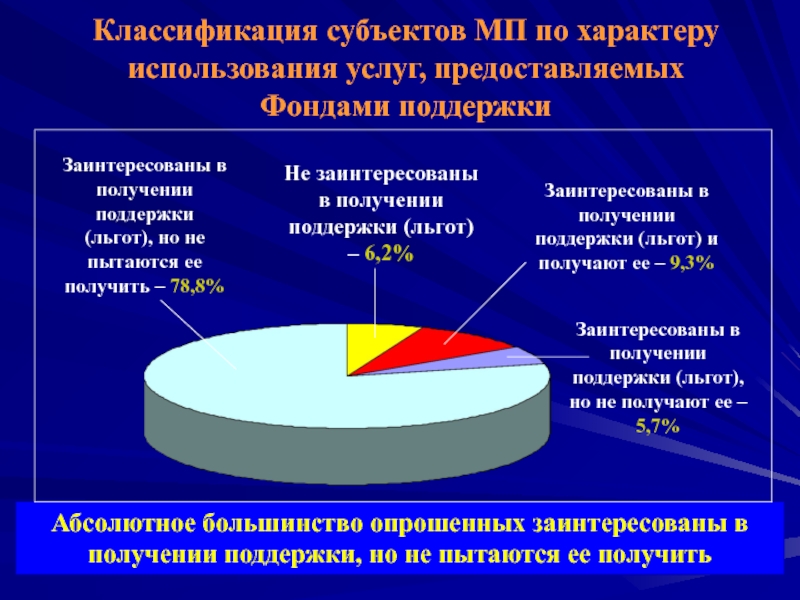 Характер использования территории. Субъекты МП.