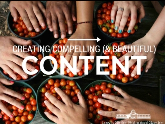 Creating Compelling Content