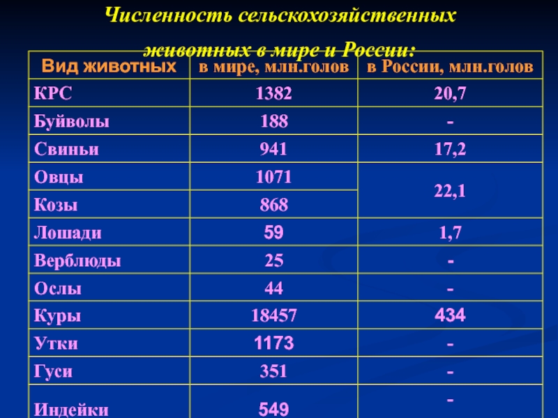 Разной численности. Численность животных в России. Численность животных в мире. Численность сельскохозяйственных животных в мире. Количество животных в численности.