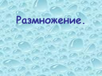 Размножение. Виды размножения