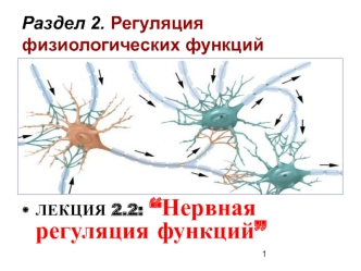 Нервная регуляция функций