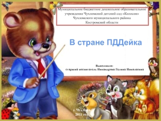В стране ПДДейка