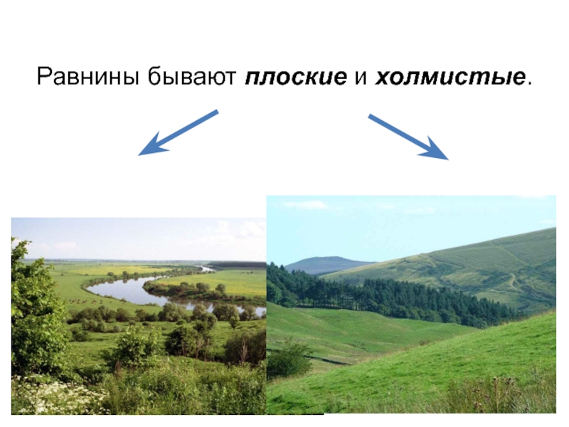 Рабочий лист формы земной поверхности. Плоские и холмистые равнины. Равнины бывают плоские и холмистые. Равнина бывает плоской. Холмистые и плоские равнины России.