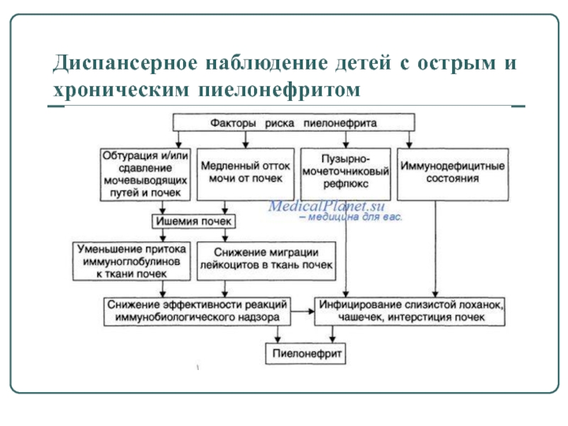 Диспансерное наблюдение детей. Диспансерное наблюдение детей с пиелонефритом. Диспансерное наблюдение лиц, перенесших острый пиелонефрит. Диспансерное наблюдение детей с хроническим бронхитом. Диспансерное наблюдение при хроническом пиелонефрите.