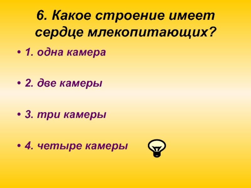 Какое строение имеет сердце млекопитающих. . Какое строение имеет песня?.