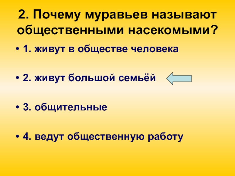 Почему муравьёв назвали общественными. Почему людей вокруг называют обществом. Муравьиный почему одна н.