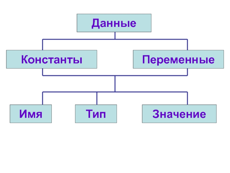 Общее имя тип. Переменные Тип имя значение. Типы данных переменные константы. Имена переменных типы данных. Вид данных const.