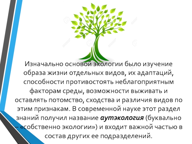 Экология растений это. Физические основы экологии.. Изучение образа жизни и качества жизни населения в экологии человека.. Способность противостоять влаге из окружающей среды:. Что составляет основу экологических знаний и почему.