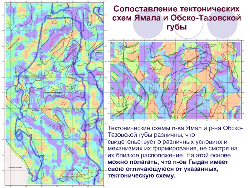 Тазовская губа карта