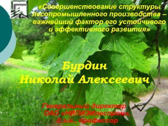 Бурдин 
Николай Алексеевич