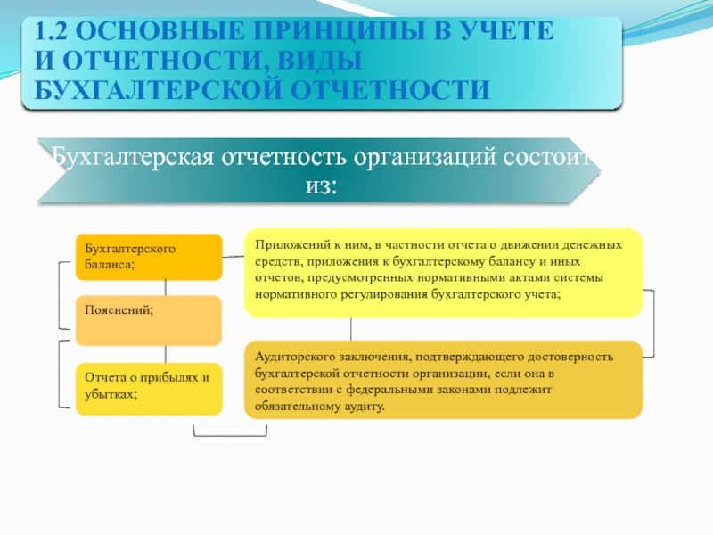 Проект федерального стандарта бухгалтерского учета бухгалтерская отчетность организации