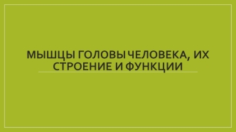 Мышцы головы человека, их строение и функции