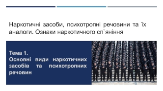 Основні види наркотичних засобів та психотропних речовин