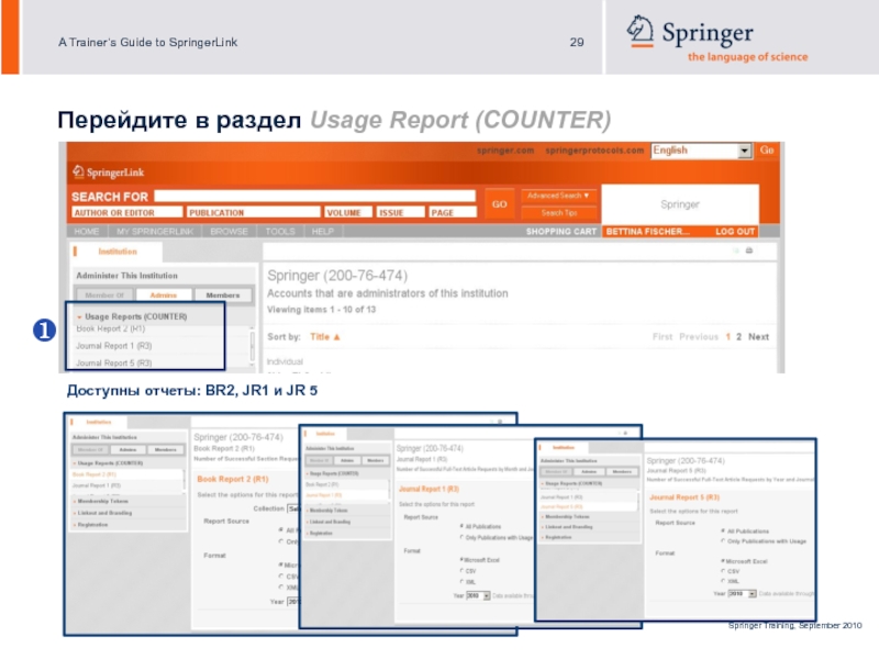 Springerlink. Контр отчет. B/R Report фото.