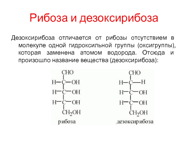 Строение рибозы. Рибоза биохимия строение. Рибоза формула и группа. Альфа дезокси д рибоза. 2 Дезокси д рибоза.