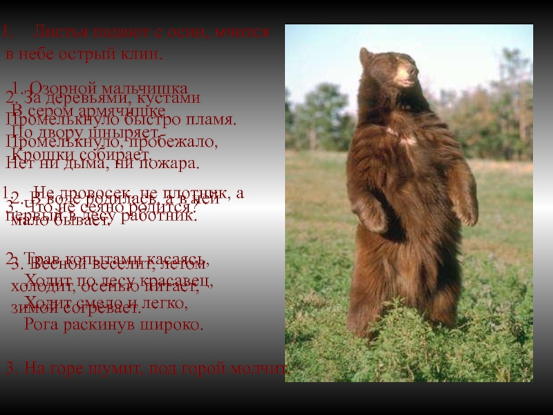 Не дровосек, не плотник, а первый в лесу работник.2. Трав копытами касаясь, Ходит по