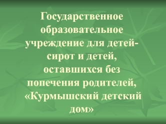 Государственное образовательное учреждение для детей-сирот и детей, оставшихся без попечения родителей, Курмышский детский дом