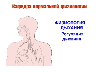 Физиология дыхания. Регуляция дыхания