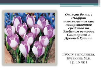Ок. 1500 до н.э. : Шафран используется как лекарственное средство на Эгейском острове Санторини  в Древней Греции.




Работу выполнила: Кусакина М.в.Гр. 10 лк 1