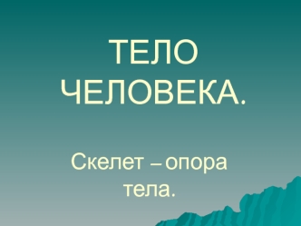 ТЕЛО   ЧЕЛОВЕКА.
