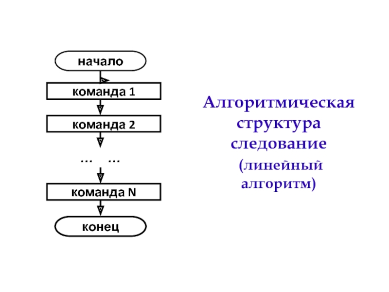 Следование информатика схема