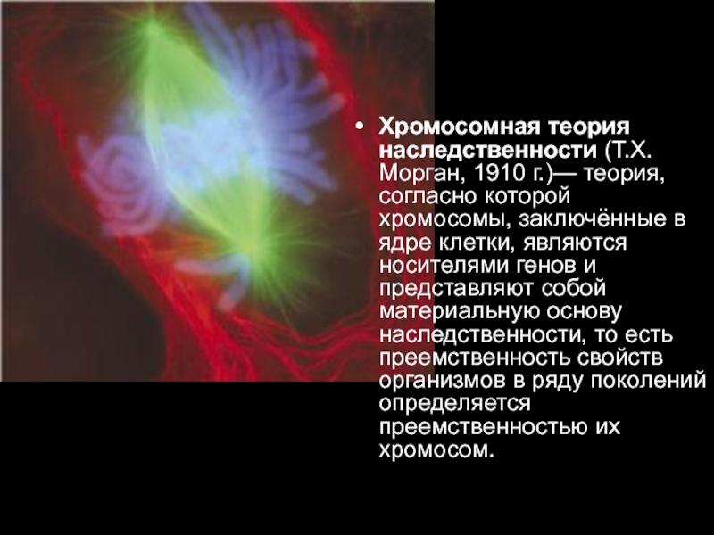 Хромосомы материальные основы наследственности. Определение пола животных в свете хромосомной теории.