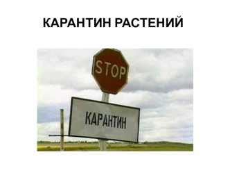 Карантин растений. (Лекция 12)