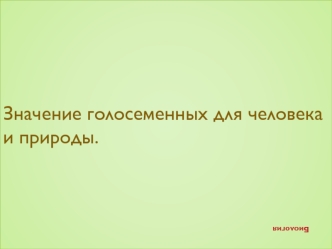 Значение голосеменных для человека и природы