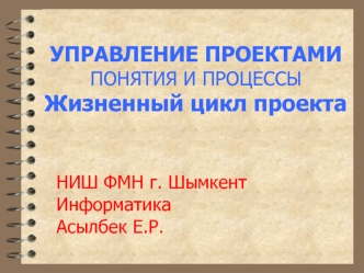 Управление проектами. Понятия и процессы. Жизненный цикл проекта