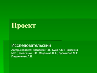 Проект