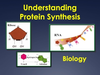 Understanding Protein Synthesis