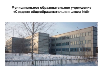 Муниципальное образовательное учреждение Средняя общеобразовательная школа №5
