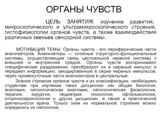 Органы чувств. Строение и гистофизиология органов слуха, вкуса и равновесия