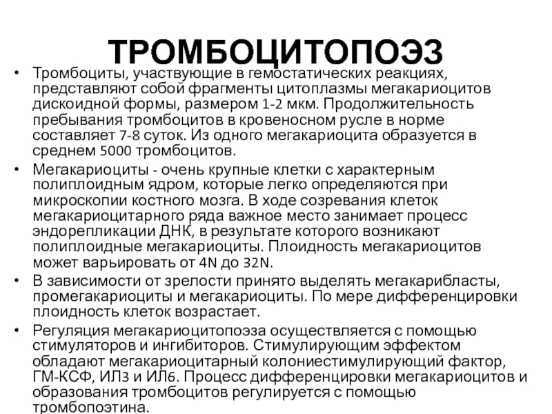 Тромбоцитопоэз происходит в красном мозге по схеме