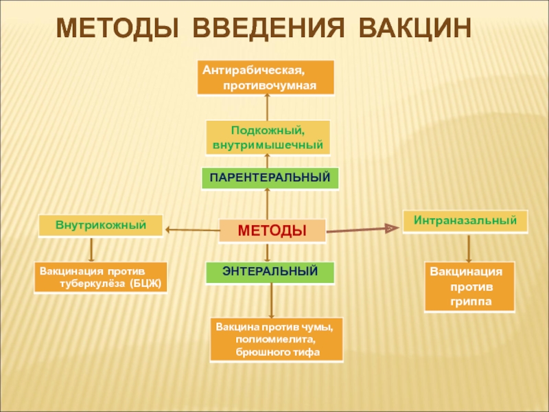 Методика введения. Способы введения вакцин. Методы ваедение вакцин. Методы введения прививок. Способы видение вакцин.