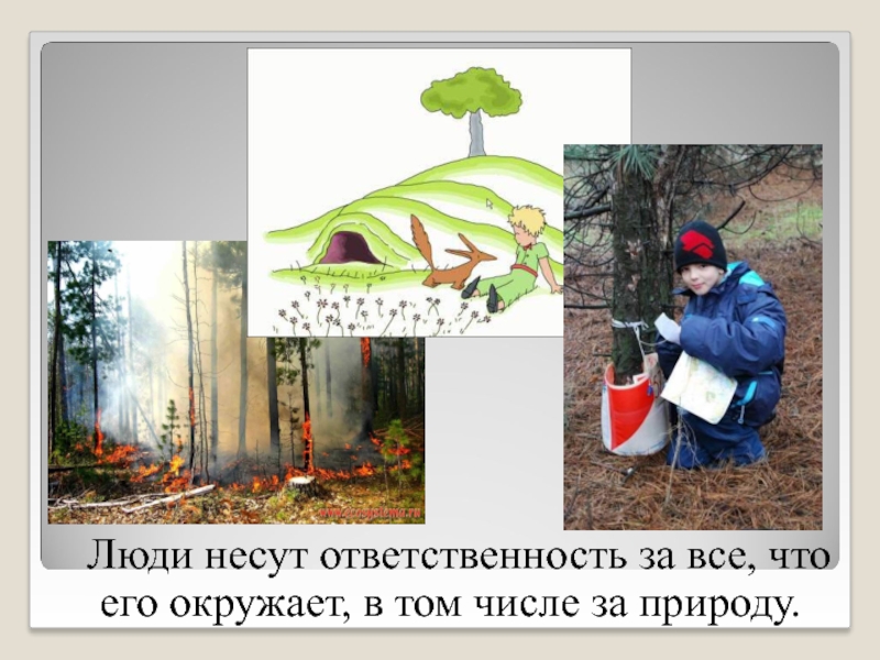 Ответственность человека за природу. Ответственность человека перед природой. За что человек несет ответственность. Нести ответственность перед природой.