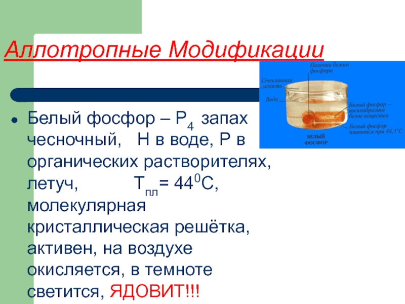 Какой фосфор имеет чесночный запах. Фосфор аллотропные модификации и запах. Аллотропные модификации фосфора белый красный черный. Аллотропные модификации белого фосфора. Аллотропные модификации алюминия.