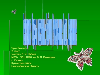 Тема урока: 
Отряды 
насекомых:
 Бабочки, Равнокрылые,
 Блохи,
 Двукрылые