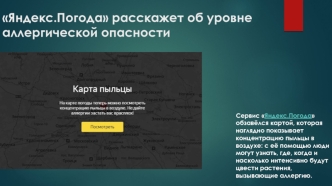 Яндекс.Погода расскажет об уровне аллергической опасности