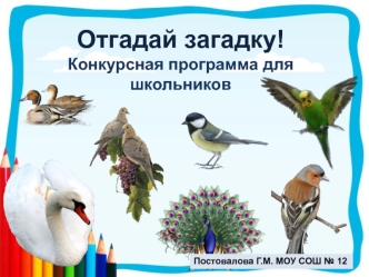 Отгадай загадку!Конкурсная программа для школьников
