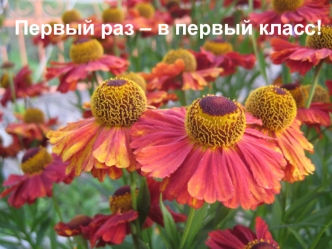 Первый раз – в первый класс!
