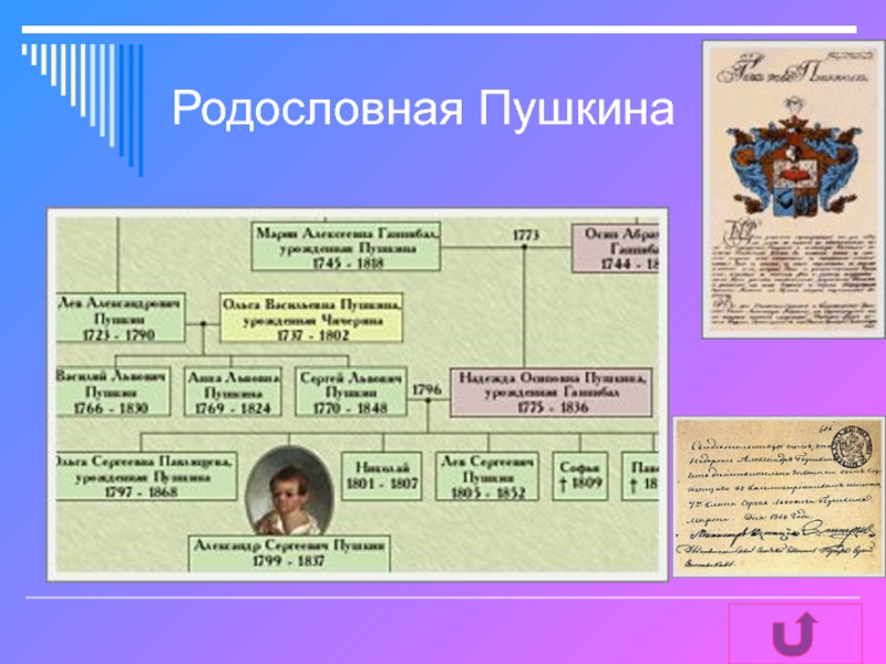 Родословная пушкина. Родословная Пушкина Александра Сергеевича. Родословная Пушкина Древо. Родословная АС Пушкина. Родовое дерево Пушкина.