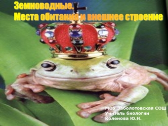 Земноводные.
Места обитания и внешнее строение