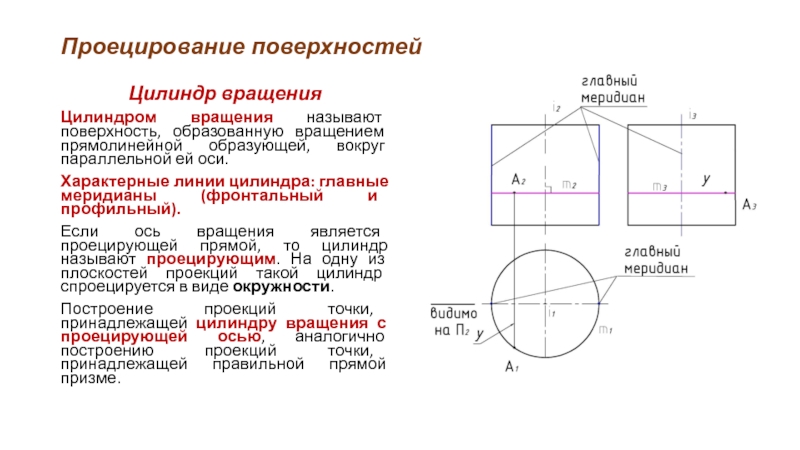 Цилиндрическую поверхность образуют