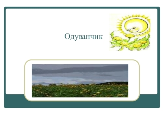 Одуванчик